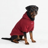 Essential Burgandy Hoodie||size:4XL,5XL