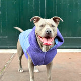 Veste réversible - Violet et bleu