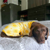 Pyjama pour chien - Soleil