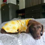 Pyjama pour chien - Soleil