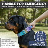 Collier tactique pour chien - Rétro des années 90