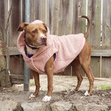 Veste Teddy Sherpa - Rose