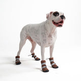 Bottes de pluie pour chien, Chaussures imperméables pour chien - Marron