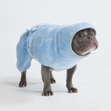 Peignoir pour chien sec en 10 minutes