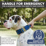 Blue Camo Collar