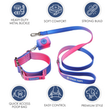 Snow Cone Collar