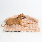 Lit de Chien Apaisant et Doux avec Housse de Canapé - Beige