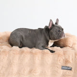 Lit de Chien Apaisant et Doux avec Housse de Canapé - Beige