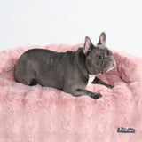 Lit de Chien Apaisant et Doux avec Housse de Canapé - Rose