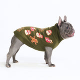 Pull de Noël en maille pour chien – Pain d’épices