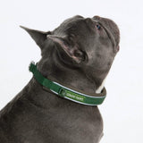 Green Martingale Collar||size:A,B