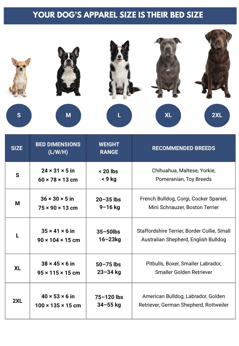 Guide des tailles