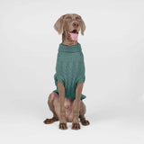 Pull en tricot pour chien - Vert pin