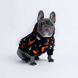 Sweat à capuche Halloween pour chien - Noir