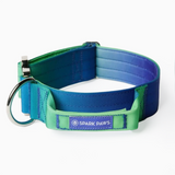 Collier tactique pour chien - Vague de citron vert