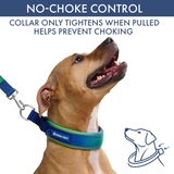 Lime Wave Martingale Collar||size:C,D,E