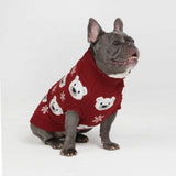 Pull pour chien en tricot - Ours polaire
