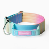 Collier tactique pour chien - Glaçage pastel
