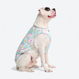 Popsicle Cooling Vest||size:3XL