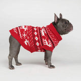 Pull pour chien en tricot - Dasher Rouge