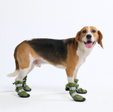 Bottes de pluie pour chien, Chaussures imperméables pour chien - Vert