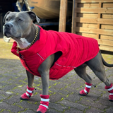 Bottes imperméables pour chien Flex Shell - Rouge