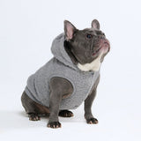 Veste Teddy Sherpa - Gris argenté