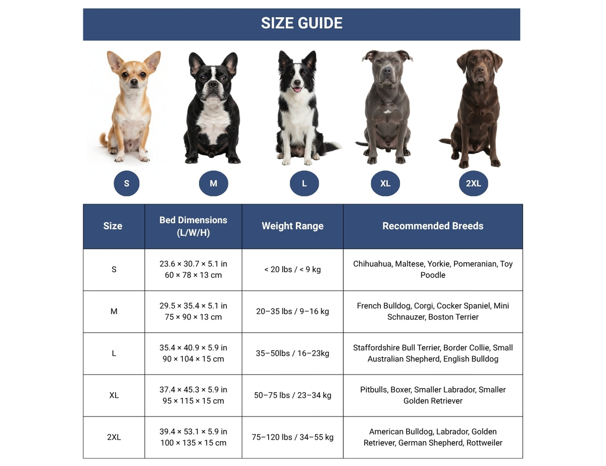 Guide des tailles