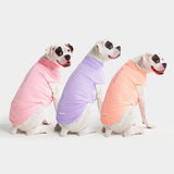 Pack de 3 T-shirts Solaires pour Chiens