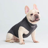 T-shirt pour chien avec écran solaire - Gris foncé