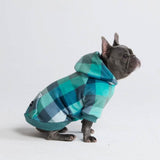 Pull à Capuche en velours Pour Chien - Carreaux Turquoise