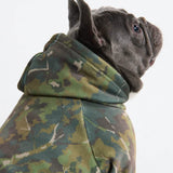 Sweats à capuche Concrete Wood pour chiens – Mousse