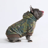 Sweats à capuche Concrete Wood pour chiens – Mousse
