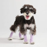 Jambières en polaire pour chien - Lilas