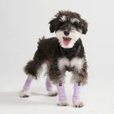 Jambières en polaire pour chien - Lilas