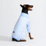 Pyjama pour chien - Rayures Bleues