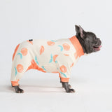 Pyjama pour chien - Pêches