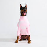 Pyjama pour chien - Rayures Roses