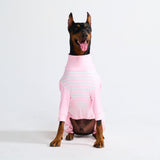 Pyjama pour chien - Rayures Roses
