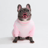 Pyjama pour chien - Rayures Roses