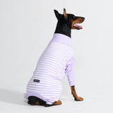 Pyjama pour chien - Rayures Violettes