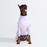 Pyjama pour chien - Rayures Violettes