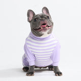 Pyjama pour chien - Rayures Violettes