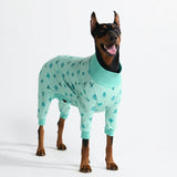 Pyjama pour chien - Cactus