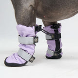 Bottes de pluie pour chien, Chaussures imperméables pour chien - Lilas