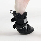 Bottes imperméables pour chien Flex Shell - Noir