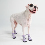 Bottes de pluie pour chien, Chaussures imperméables pour chien - Lilas