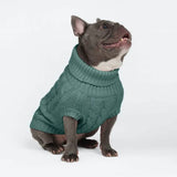 Pull en tricot pour chien - Vert pin