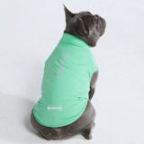 T-shirt pour chien avec écran solaire - Menthe