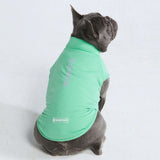 T-shirt pour chien avec écran solaire - Menthe
